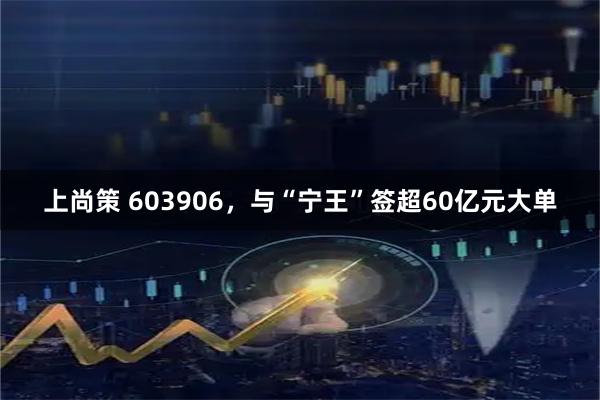 上尚策 603906，与“宁王”签超60亿元大单
