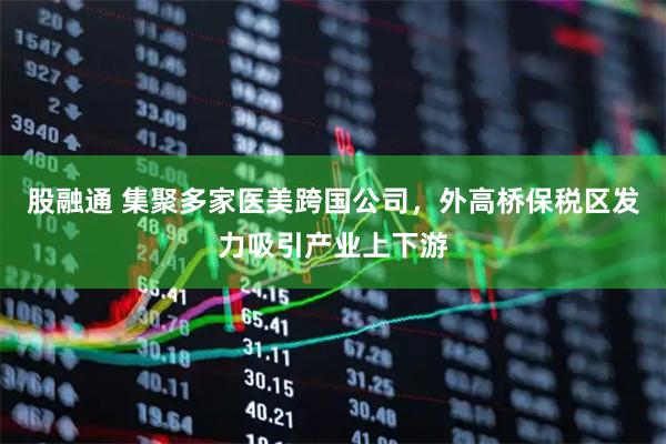 股融通 集聚多家医美跨国公司，外高桥保税区发力吸引产业上下游