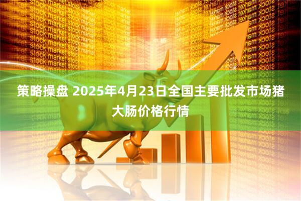 策略操盘 2025年4月23日全国主要批发市场猪大肠价格行情