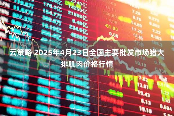 云策略 2025年4月23日全国主要批发市场猪大排肌肉价格行情