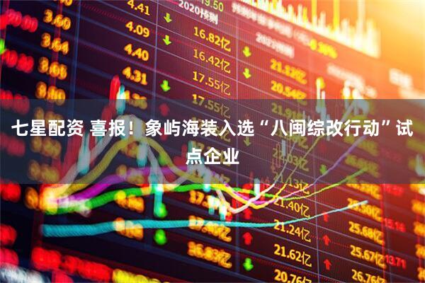 七星配资 喜报！象屿海装入选“八闽综改行动”试点企业