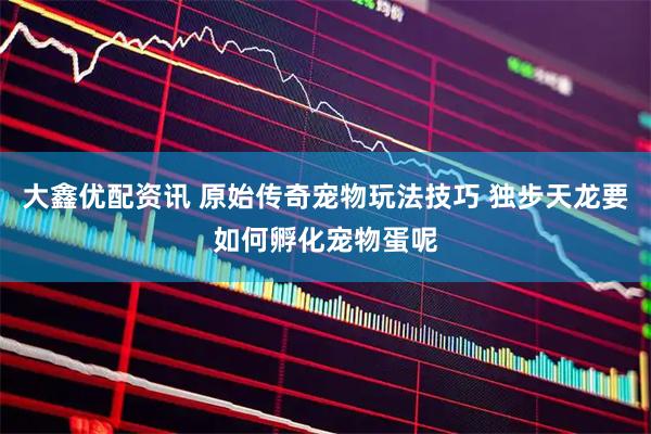 大鑫优配资讯 原始传奇宠物玩法技巧 独步天龙要如何孵化宠物蛋呢