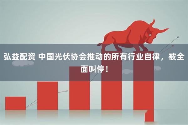 弘益配资 中国光伏协会推动的所有行业自律，被全面叫停！