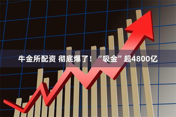 牛金所配资 彻底爆了！“吸金”超4800亿