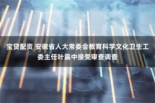 宝贷配资 安徽省人大常委会教育科学文化卫生工委主任叶露中接受审查调查