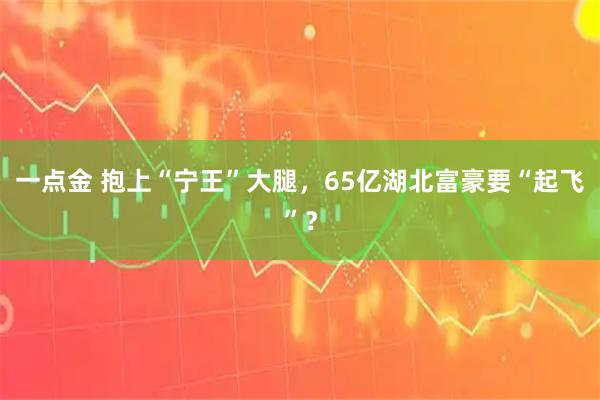一点金 抱上“宁王”大腿，65亿湖北富豪要“起飞”？