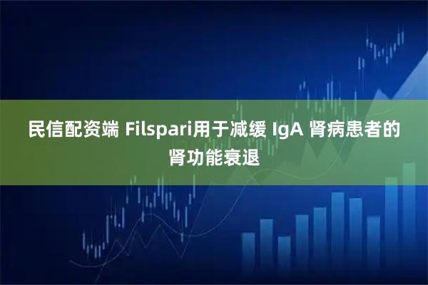 民信配资端 Filspari用于减缓 IgA 肾病患者的肾功能衰退