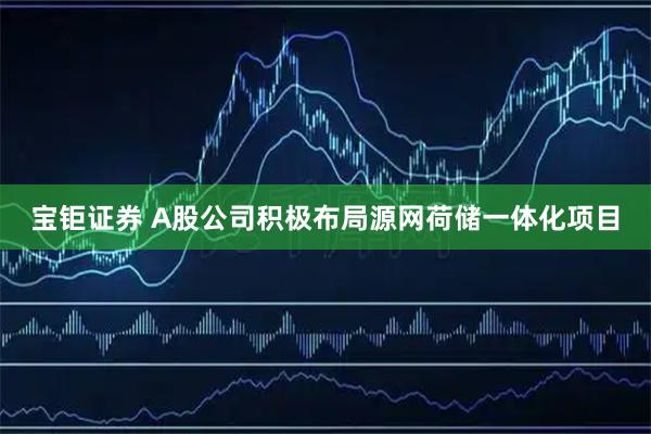宝钜证券 A股公司积极布局源网荷储一体化项目