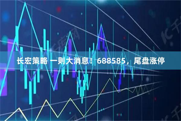 长宏策略 一则大消息！688585，尾盘涨停