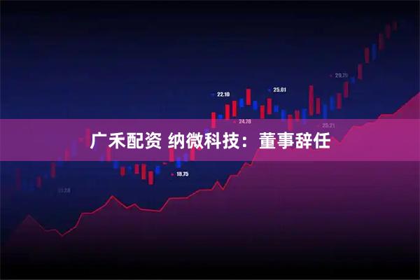 广禾配资 纳微科技：董事辞任