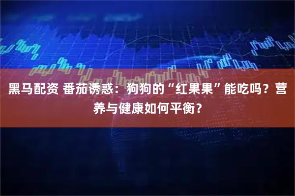 黑马配资 番茄诱惑：狗狗的“红果果”能吃吗？营养与健康如何平衡？