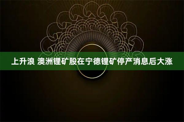 上升浪 澳洲锂矿股在宁德锂矿停产消息后大涨