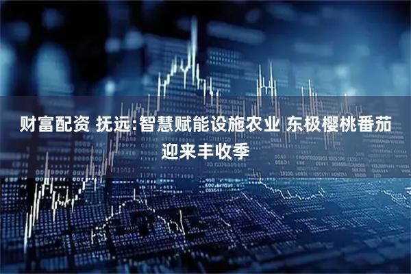 财富配资 抚远:智慧赋能设施农业 东极樱桃番茄迎来丰收季